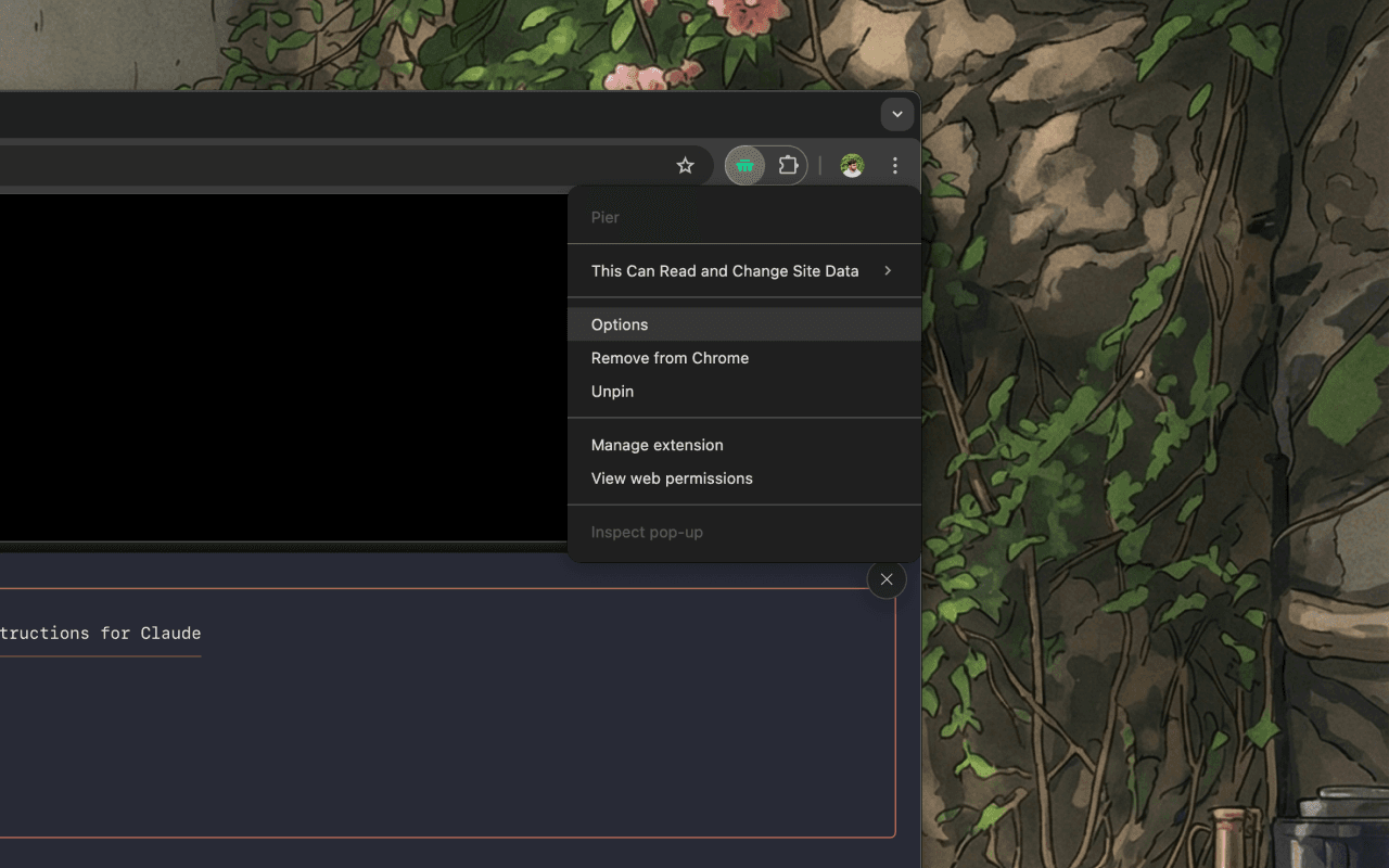 Chrome extension popup for Pier showing configuration options