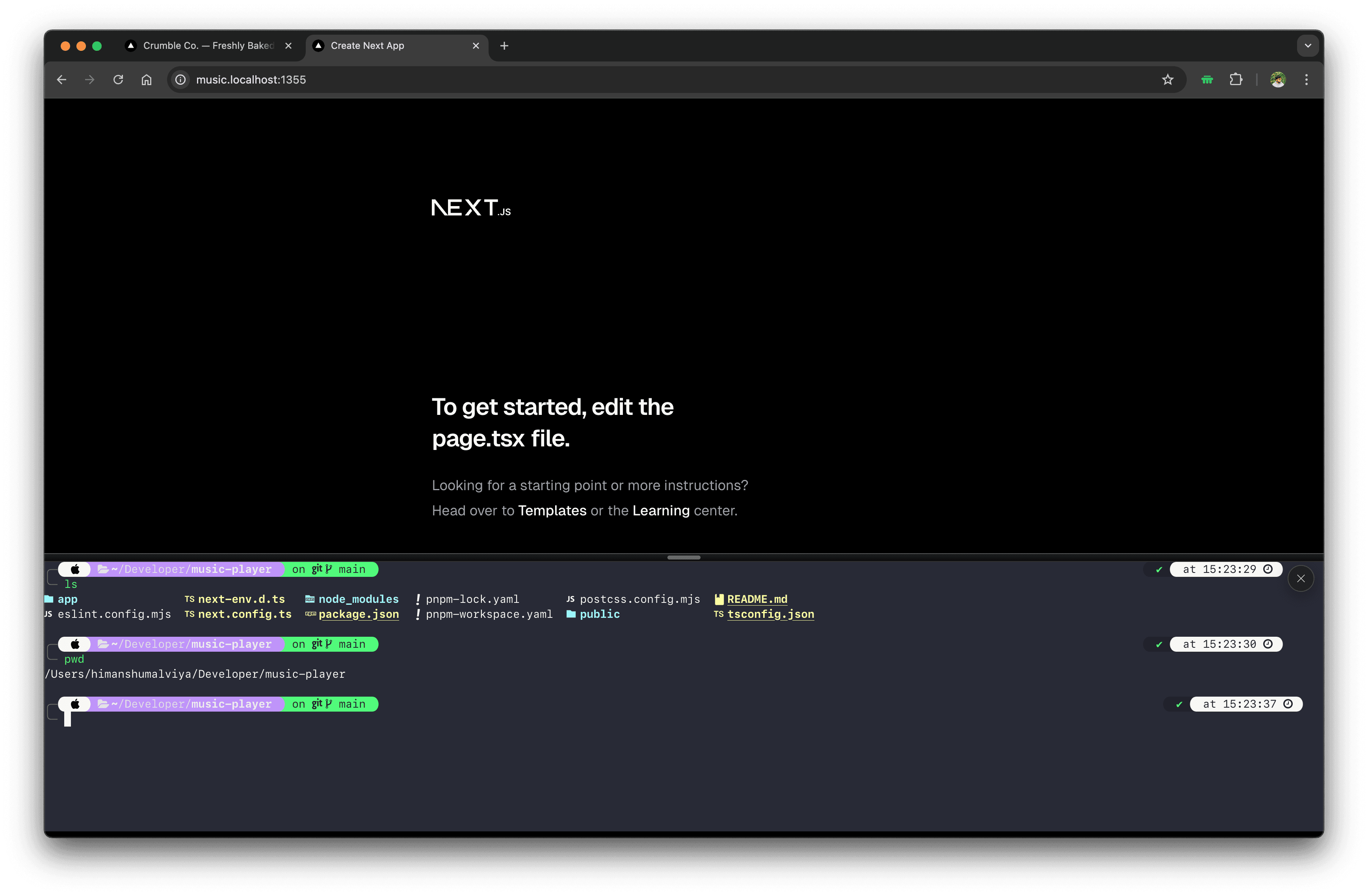 Pier terminal panel embedded in a browser tab